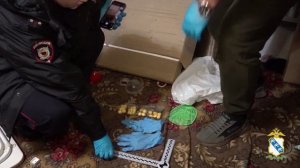 В Курской области задержан межрегиональный курьер, перевозивший крупную партию наркотиков