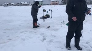 поимка форели на жерлицу