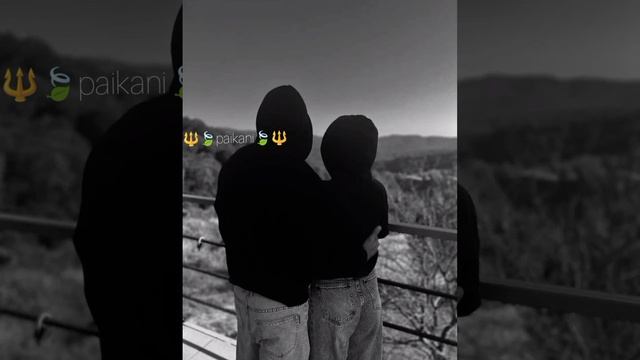 музыка для душы новая вшун 🍃🔱 смотреть онлайн