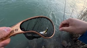 Открытие по судаку