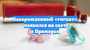 Новорожденный «гигант» появился на свет в Приморье