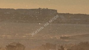 Коротко о погоде в Геленджике прямо сейчас. Северный ветер нежно гнёт арматуру 😁🥶