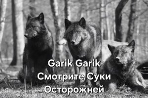 Песня за душу берет⚡