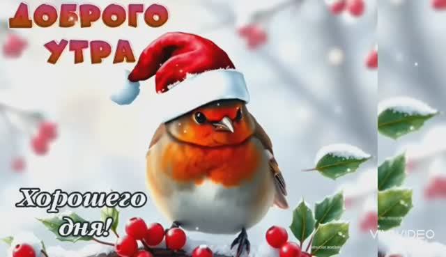 ДОБРОГО УТРА ПОНЕДЕЛЬНИКА смотреть онлайн