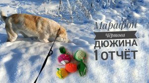 Марафон Чёртова дюжина, 1 отчёт, участник 7 #извяжу_13. Прогулка с алабаем