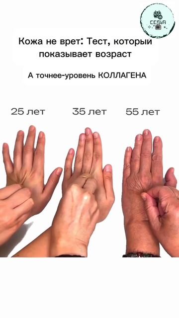 ТЕСТ ВОЗРАСТА ПО РУКЕ смотреть онлайн