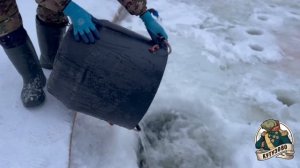 19.01 Запуск 50кг форели в лесной пруд