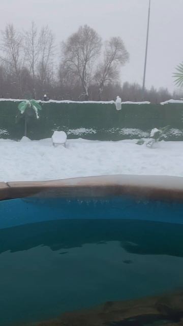 По традиции  в воду Крещенскиекупания