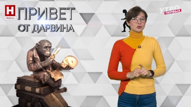 После Нового года | ПРИВЕТ ОТ ДАРВИНА