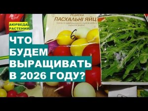 ХОЛОДНЫЙ 2026 ГОД: Какие Овощные Растения Будем Выращивать?!