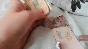 VID_20260119_114151.mp4