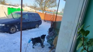 Наша простая жизнь на Кубани.