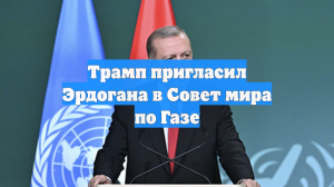 Трамп пригласил Эрдогана в Совет мира по Газе