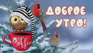 ДОБРОЕ УТРО. МОРОЗ И СОЛНЦЕ,  ДЕНЬ ЧУДЕСНЫЙ...