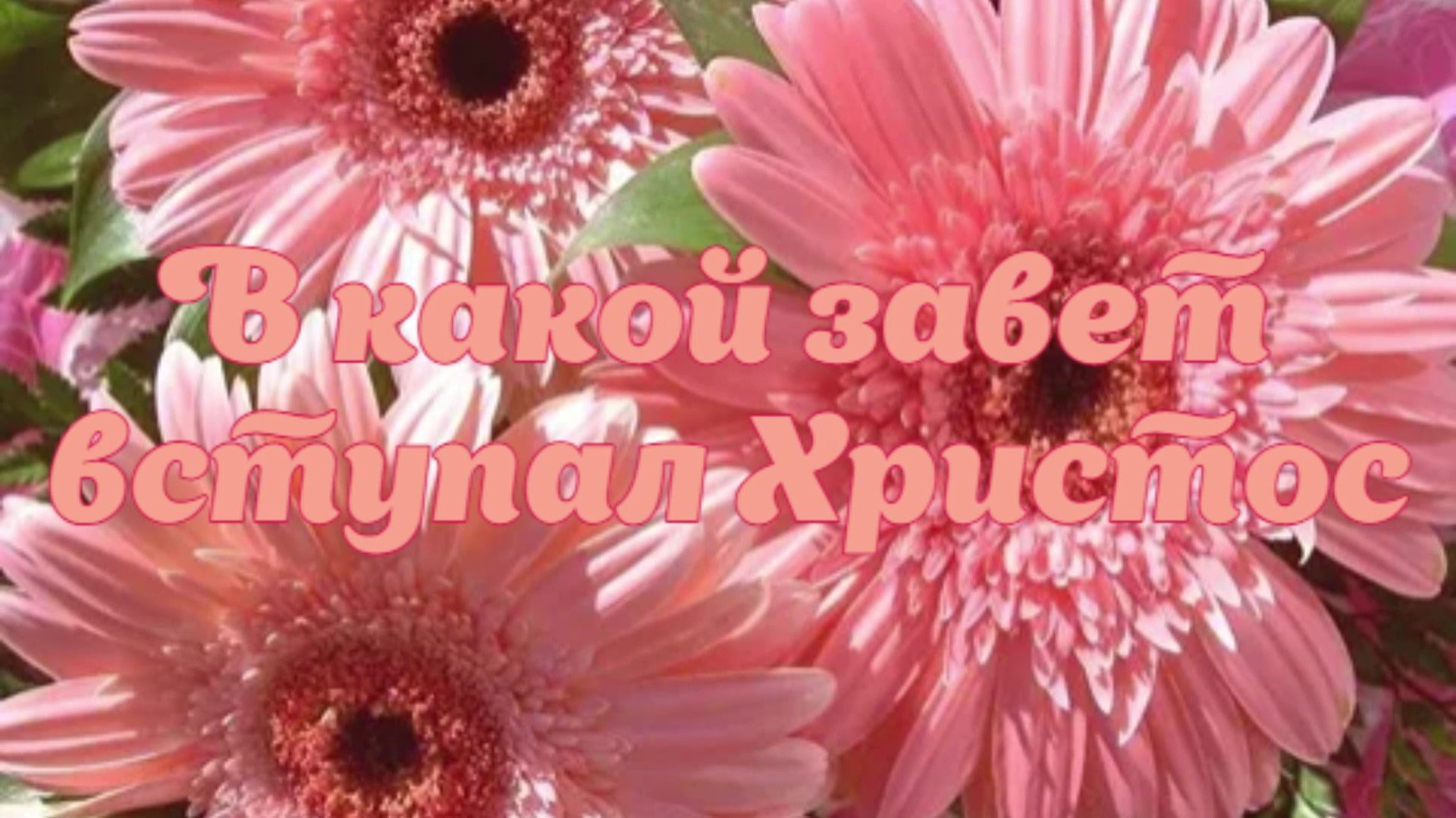 В какой завет вступал Христос смотреть онлайн