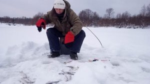 клёвый день 36 Ельцов