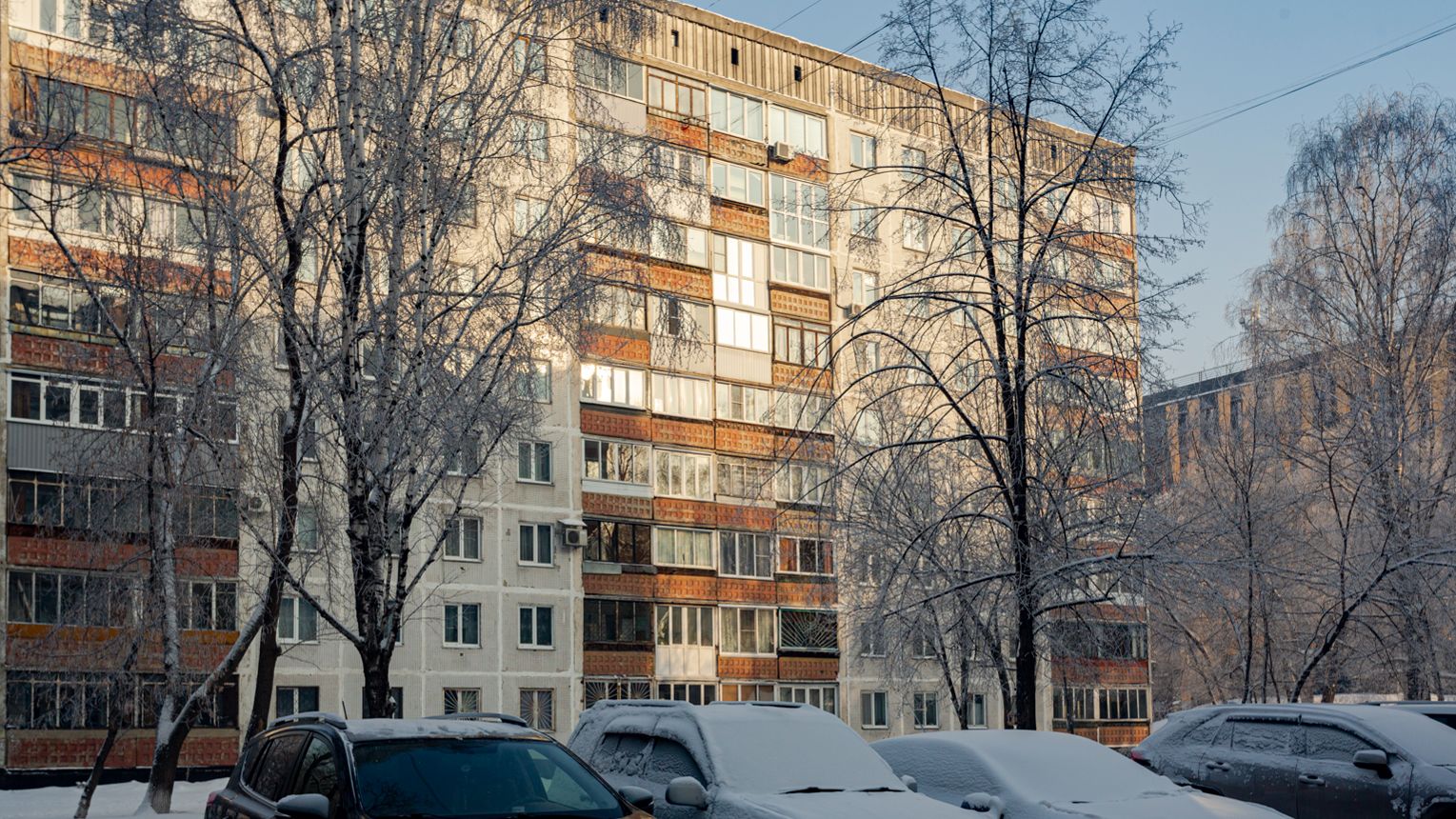 Павловского 14 смотреть онлайн