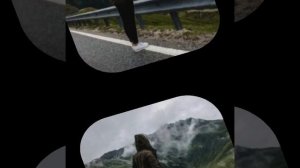 video20260119_010112.mp4