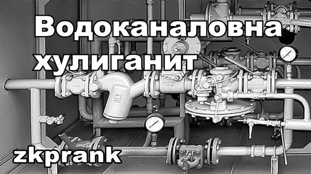 Пранк ЖКХ  ВОДОКАНАЛОВНА ХУЛИГАНИТ смотреть онлайн