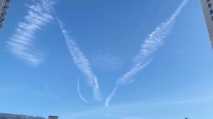 Несушкой в праздник. Готовлюсь к посадке рассады. Тестирую Новый рецепт теста