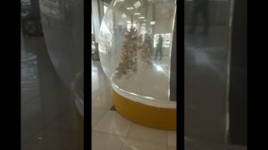 19.01.26 пицца.mp4