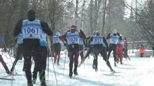 Марафон «Лыжня в Лавру» проведут в Пушкинском