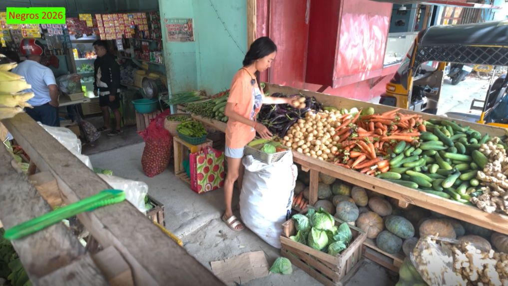 Филиппинка на русском. Стройка у друга. Продолжение. Закупка продуктов на неделю. смотреть онлайн