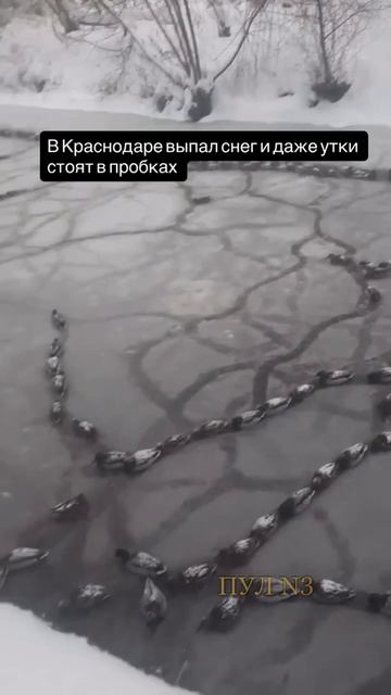 ПЕРНАТАЯ ПРОБКА!! смотреть онлайн