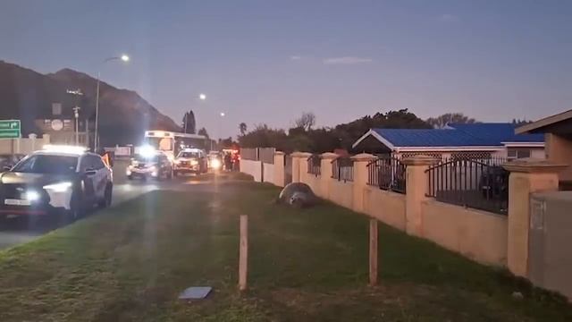 Случаи Вторжения Диких Животных в Города, Снятые на Камеру. Видео из интернета. смотреть онлайн