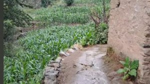 11серия/Жизнь в горной деревне Непала | в непальской бедной, но счастливой семье