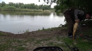 КОНЕЦ ЗАПРЕТУ В АСТРАХАНИ! СОМ И САЗАН НА ДОНКИ С БЕРЕГА! Рыбалка в Астрахани 2025