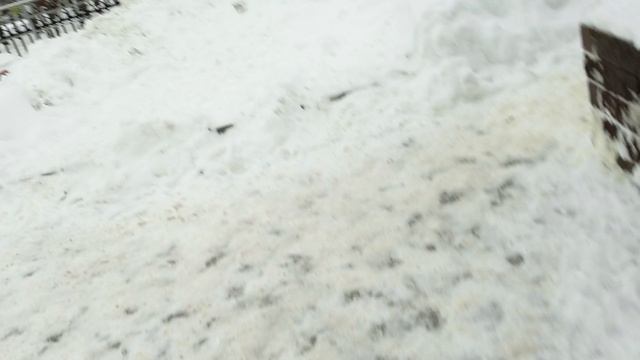 паркур смотреть онлайн