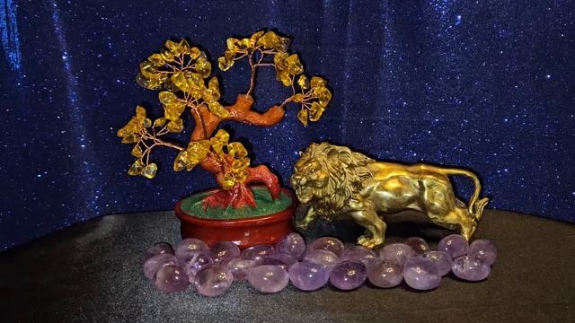 ПРОБУДИТЬ СВОЕГО ЛЬВА смотреть онлайн