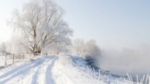 Крещенские морозы ударили по Беларуси. Сильная гололедица сковала трассы в Армении. Погода в СНГ