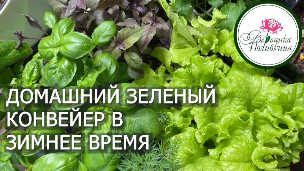 ЗЕЛЕНЫЙ КОНВЕЙЕР В ЗИМНЕЕ ВРЕМЯ смотреть онлайн