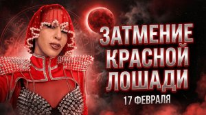 Дикая лошадь прискачет в затмение 17 февраля 2026 года