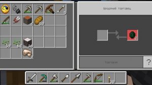 выживание в Minecraft 25