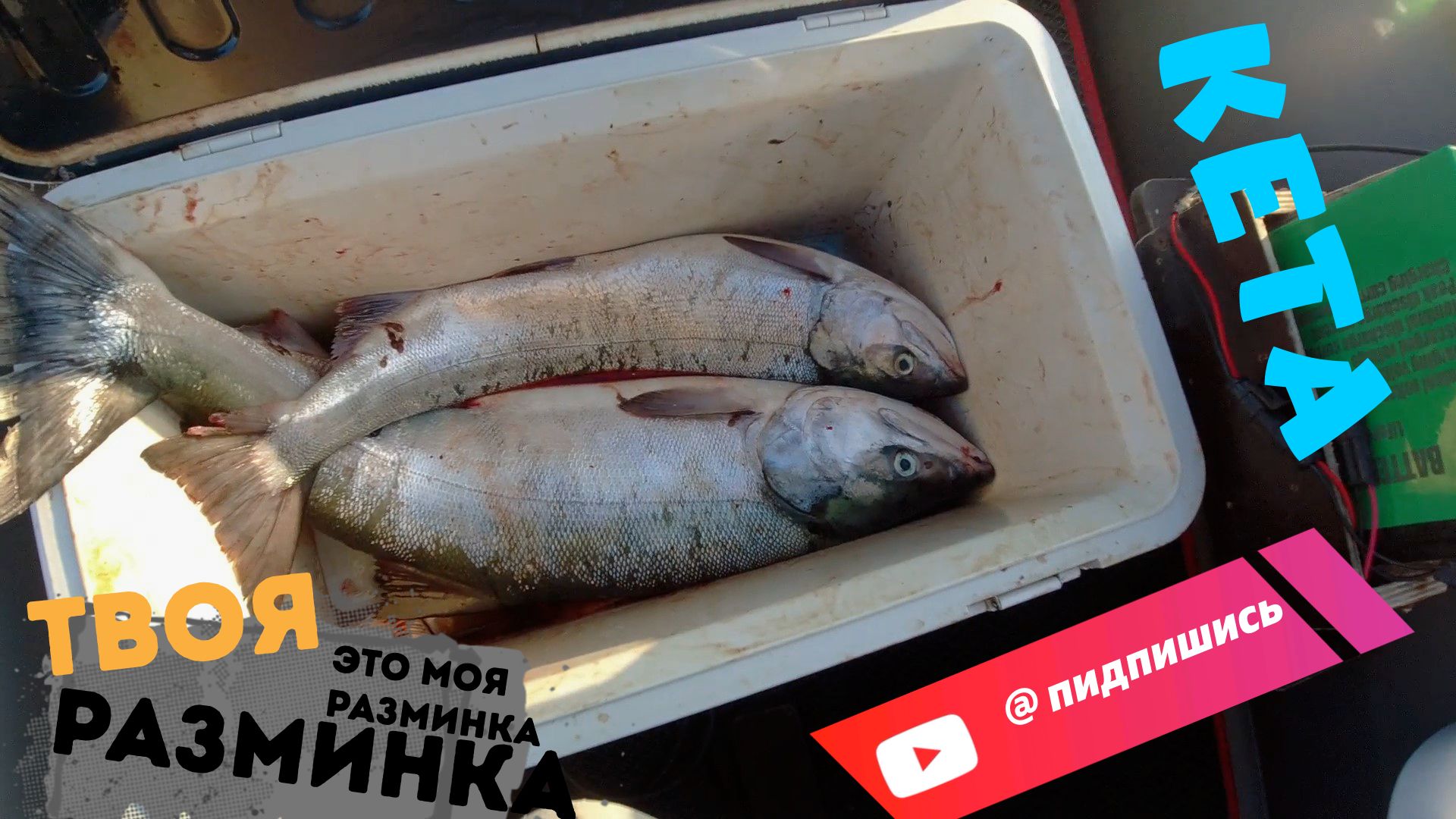 РЫБАЛКА, КЕТА,🐟🔥 ПРИРОДА 30.09.25. НАХОДКА смотреть онлайн
