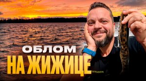 РЫБОЛОВНЫЕ приключения. Жижица 2025. Рыбалка поздней осенью. Туман. Грязь. Снег. Рыба. Судак. GARMIN