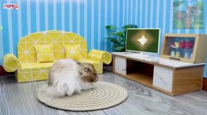 слышав, что супермаркет снизил цены, Маленький Хомячок и кот Том отправились за покупками