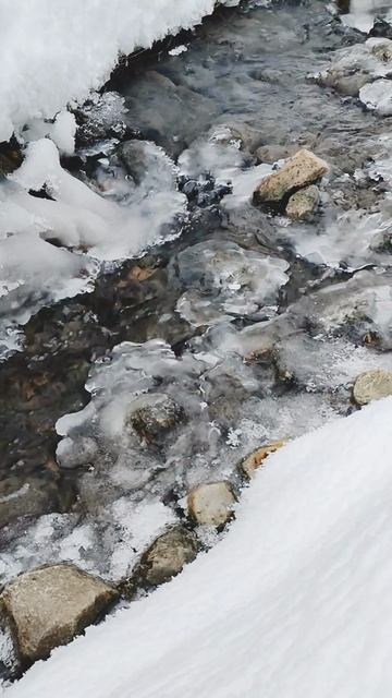 Живые картины русской природы 11