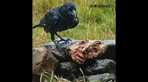 28 лeт cпycтя: Чаcть Il. Хрaм костeй (2026) 💀 Cyпepновинкa