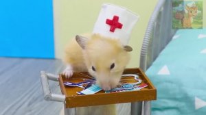 План неотложной помощи Бэби босса, доктор Хомяк уверен в себе