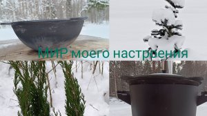 18.01.26 Дача Выборг.Новая печь и казан,готовим плов.Можжевельник в прикоп на зимовку.