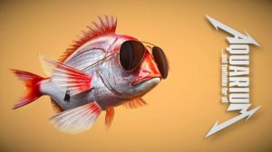 АкваДискуссия: ответы на вопросы 🖤 ФФанатов