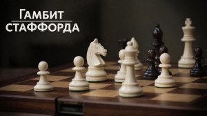 Лучший гамбит за черных? Гамбит Стаффорда
