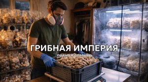 Как я создал "грибную империю" в своей спальне