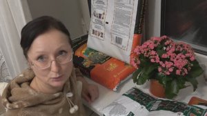 19-01-26 За землёй. В предвкушении посевов. Различие в составе грунтов универсального и цветочного