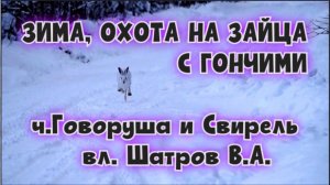 ЗИМА, ОХОТА НА ЗАЙЦА С ГОНЧИМИ ч.Говоруша и Свирель вл. Шатров В.А.#охотасгончей #топ #hunting