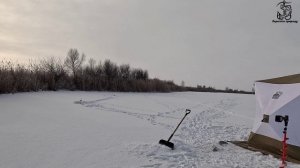 Новополеводино 2.01.26